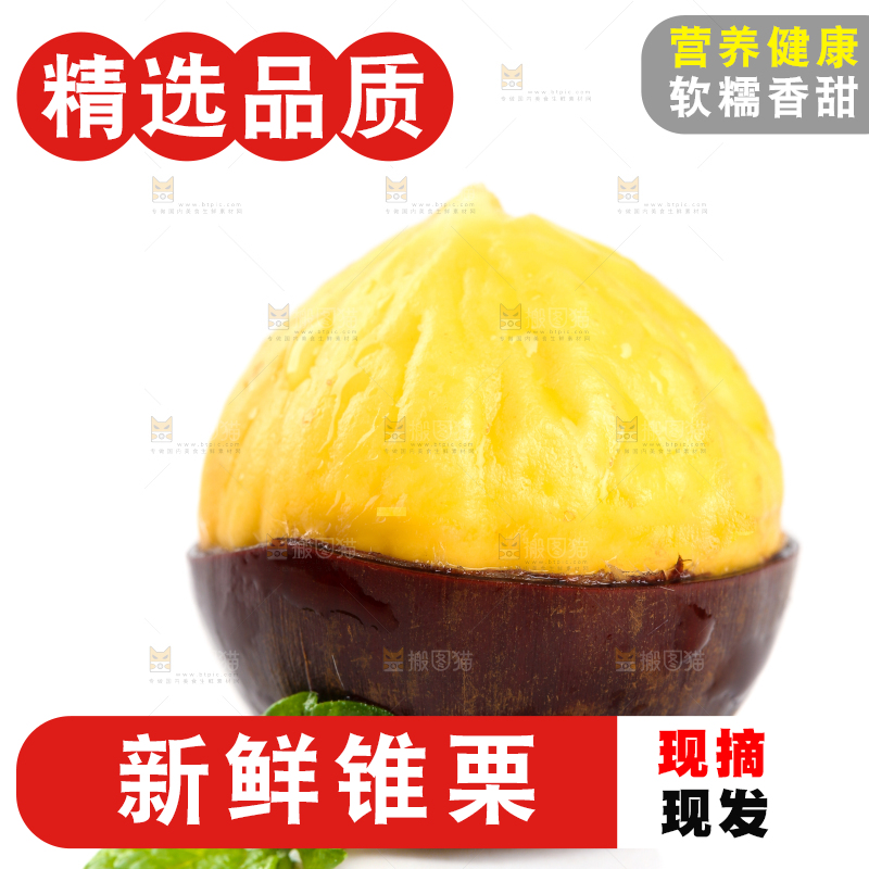 白底上放着高山锥栗