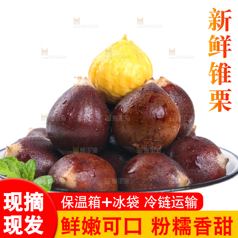 白底上一盘建瓯圆锥栗