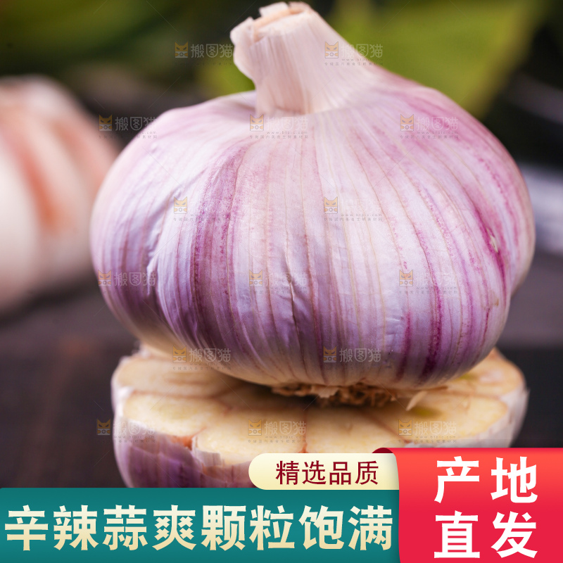 黑底上的紫皮大蒜