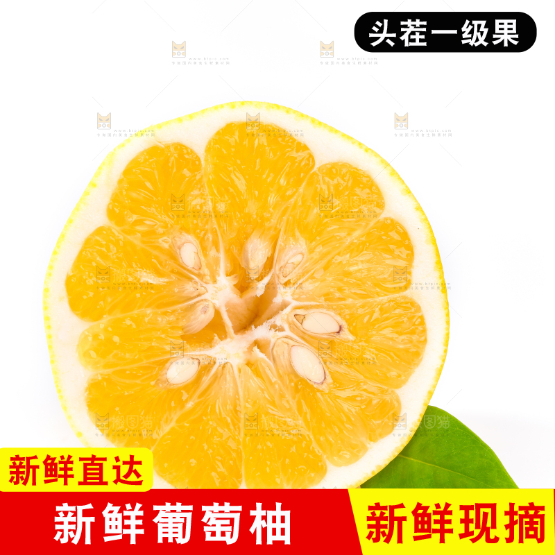白底上的黄金葡萄柚