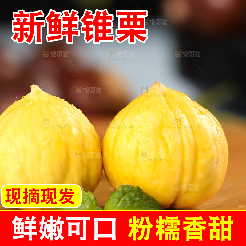 木底上放着锥栗仁