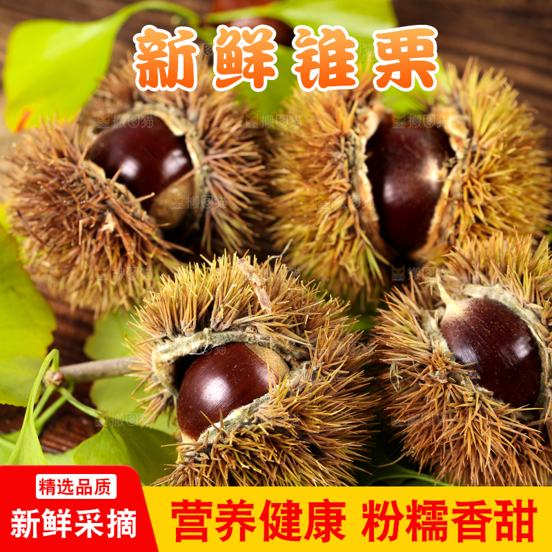 木底上放着毛栗子