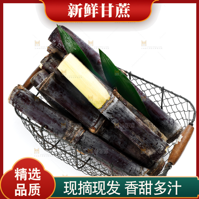 白底上篮子里的甘蔗