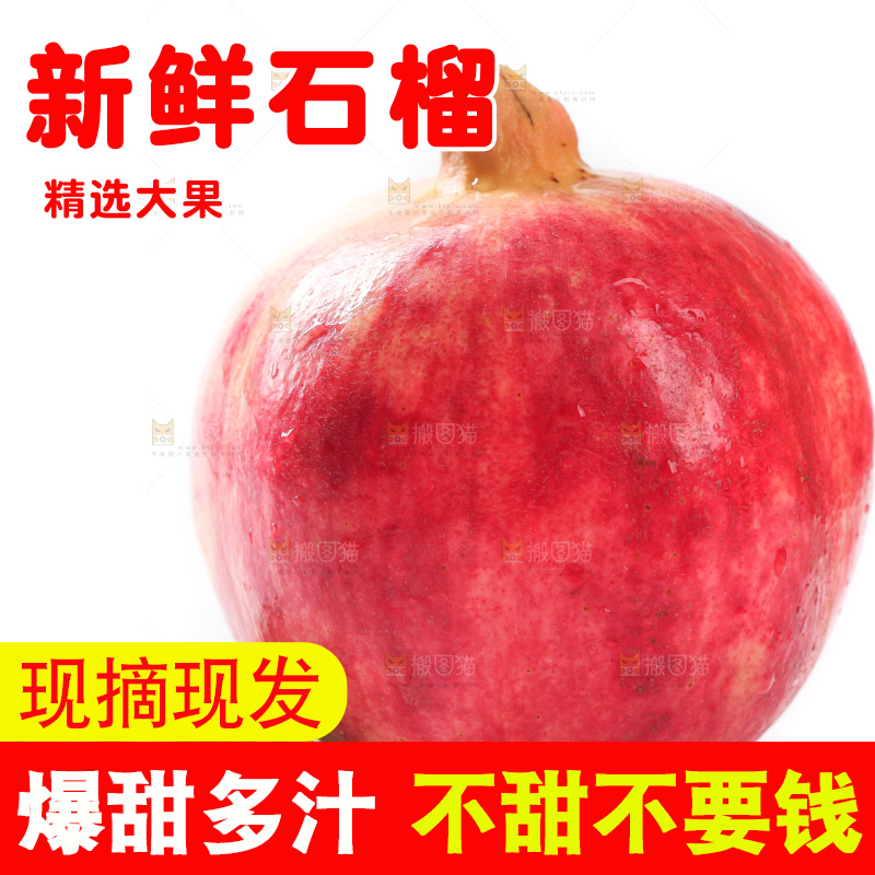 白底上的红石榴
