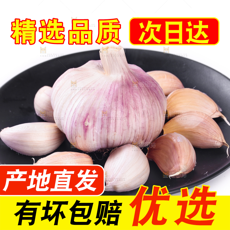 白底上一盘大蒜