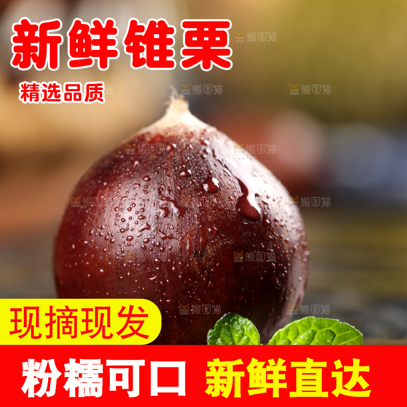 黑底上的栗子