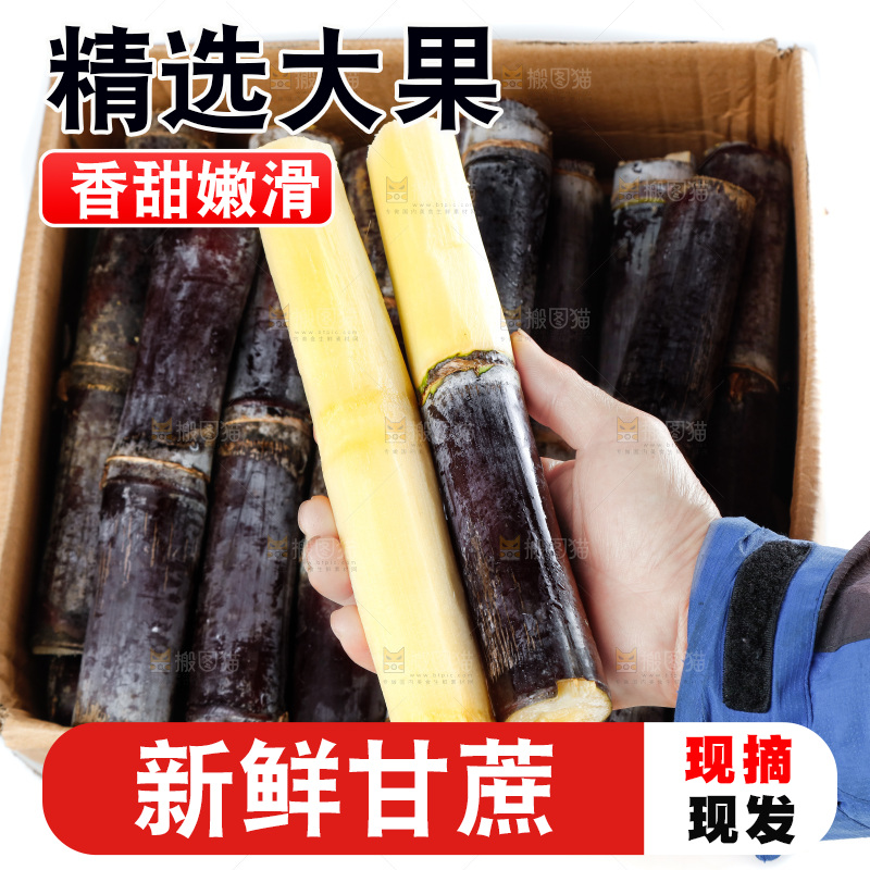 手上拿着甘蔗