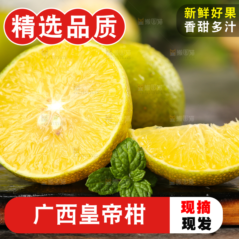 木板上的皇帝柑