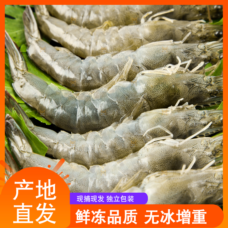 白底上一盘青岛大虾