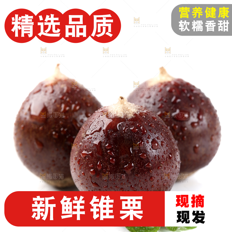 白底上放着新鲜锥栗