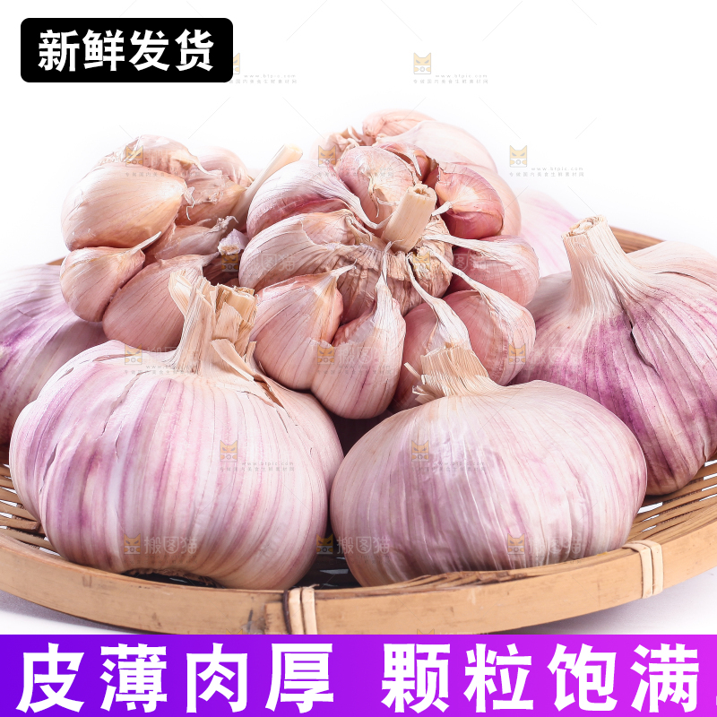 白底上放着一篮紫皮大蒜