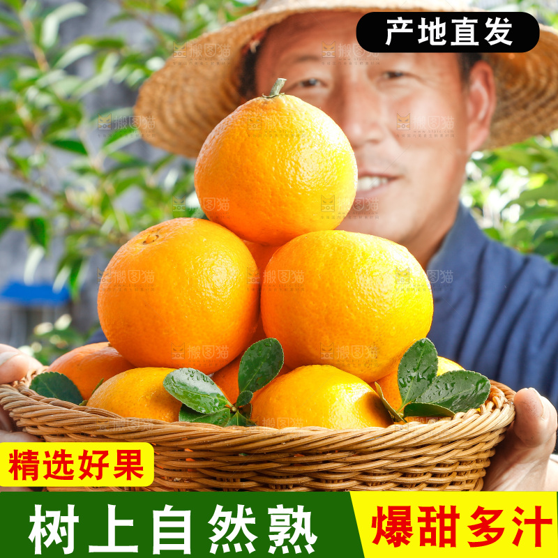 农民手上端着一篮果冻橙