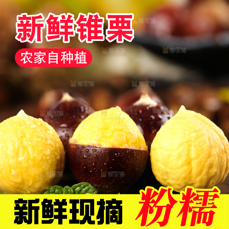 黑底上的锥栗和去壳的锥栗仁