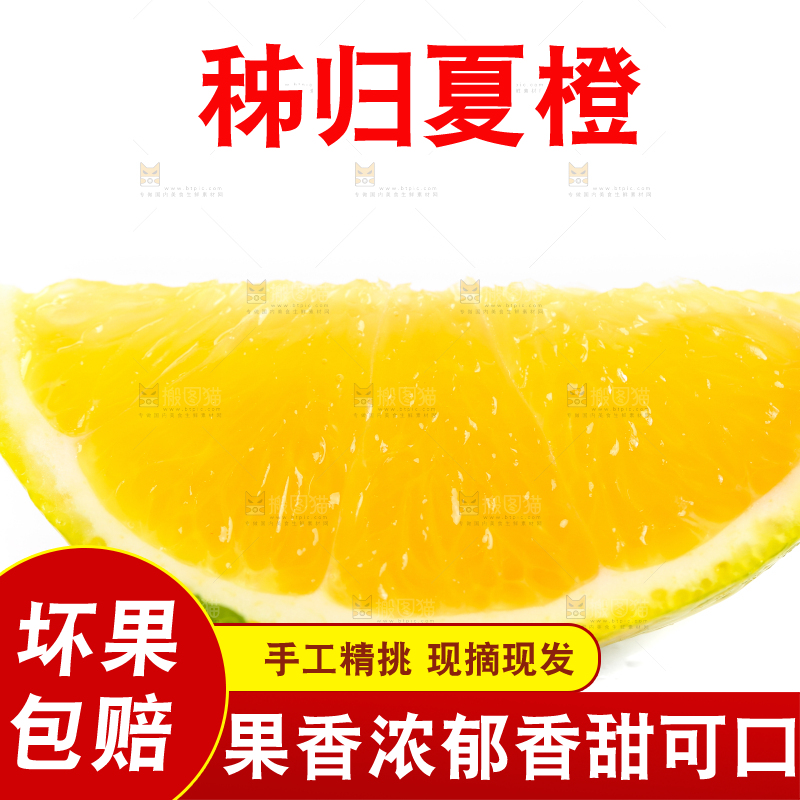 白底上的橙子果肉