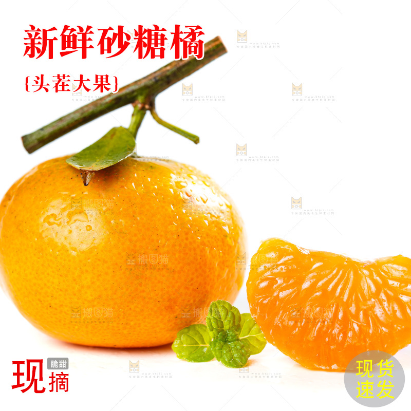 白底上的小蜜橘和蜜桔果肉