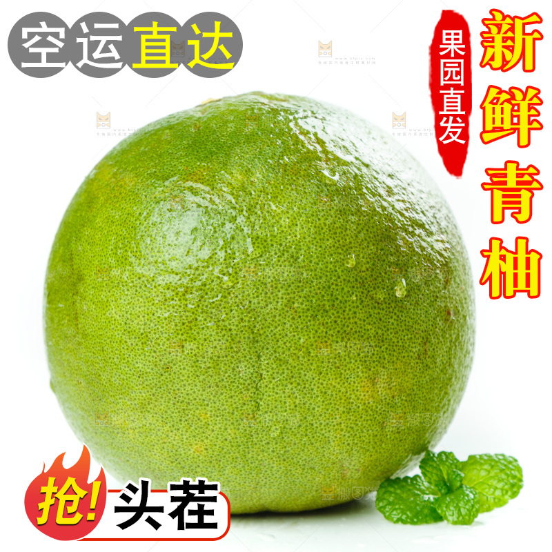 白底上的泰国青柚