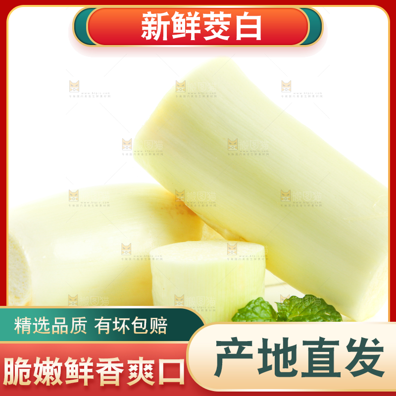 白底上的茭白