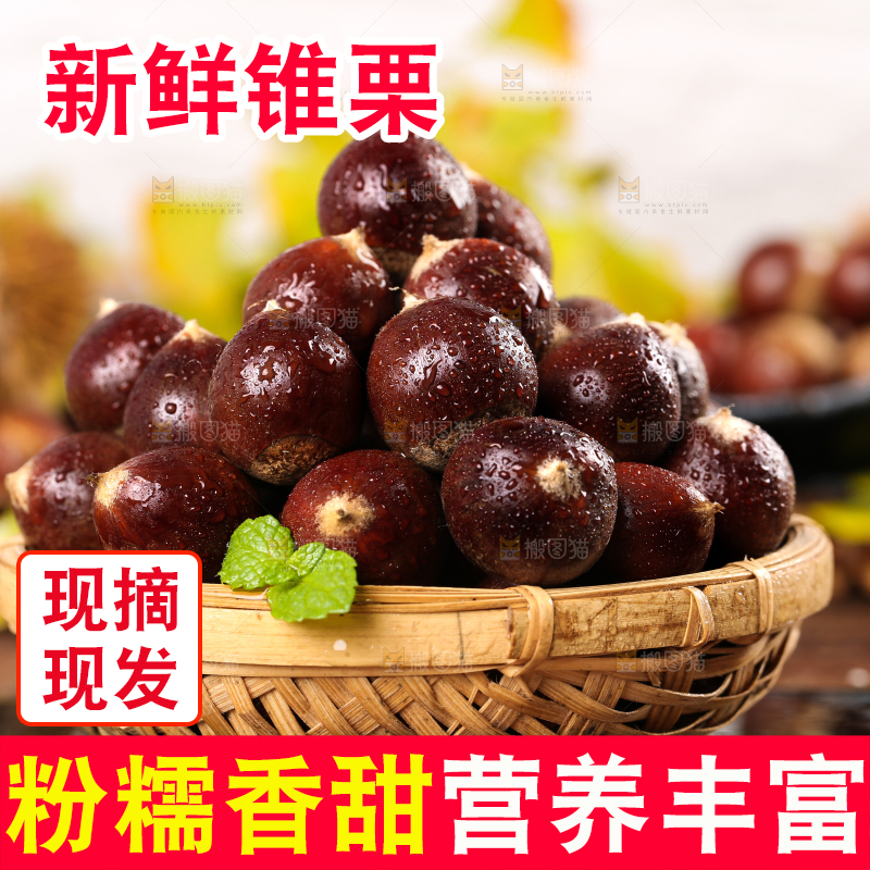 黑底上一篮建瓯锥栗