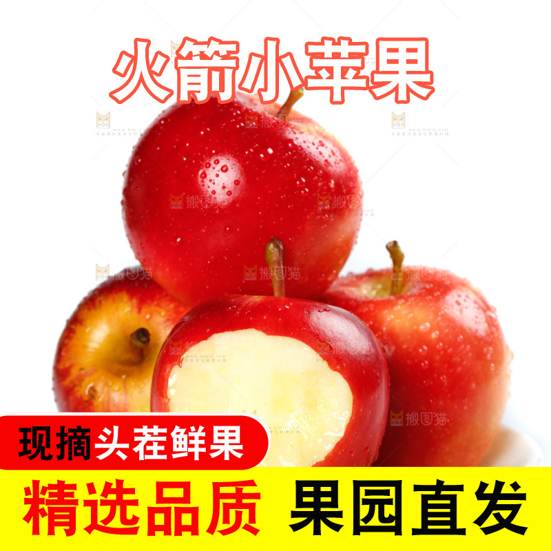 白底上一盘新西兰火箭苹果