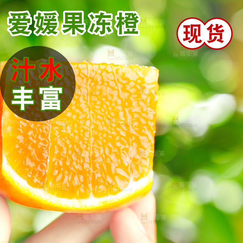 手上拿着爱媛果肉