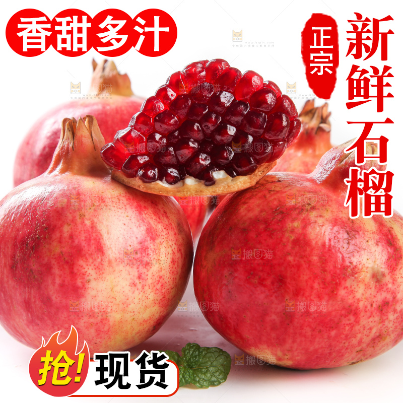 白底上的软籽石榴