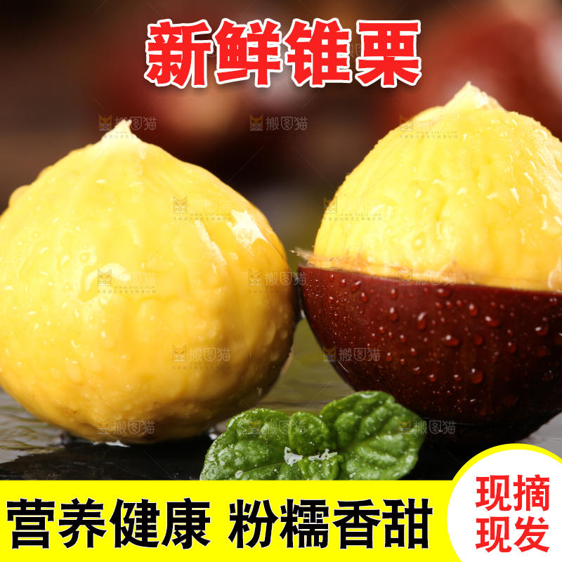 黑底上的锥栗和去壳的锥栗仁