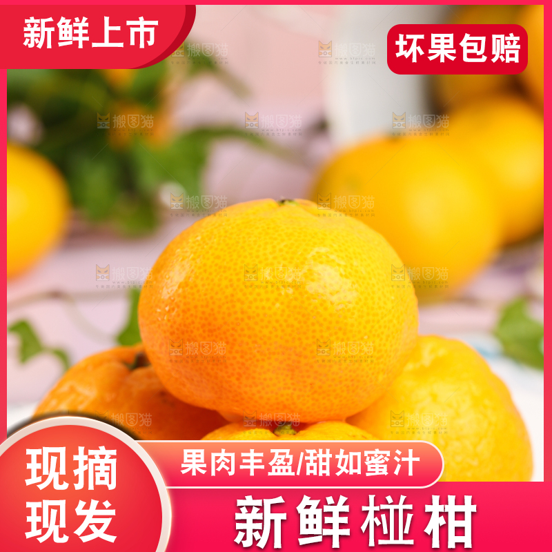 盘子里摆放着椪柑橘