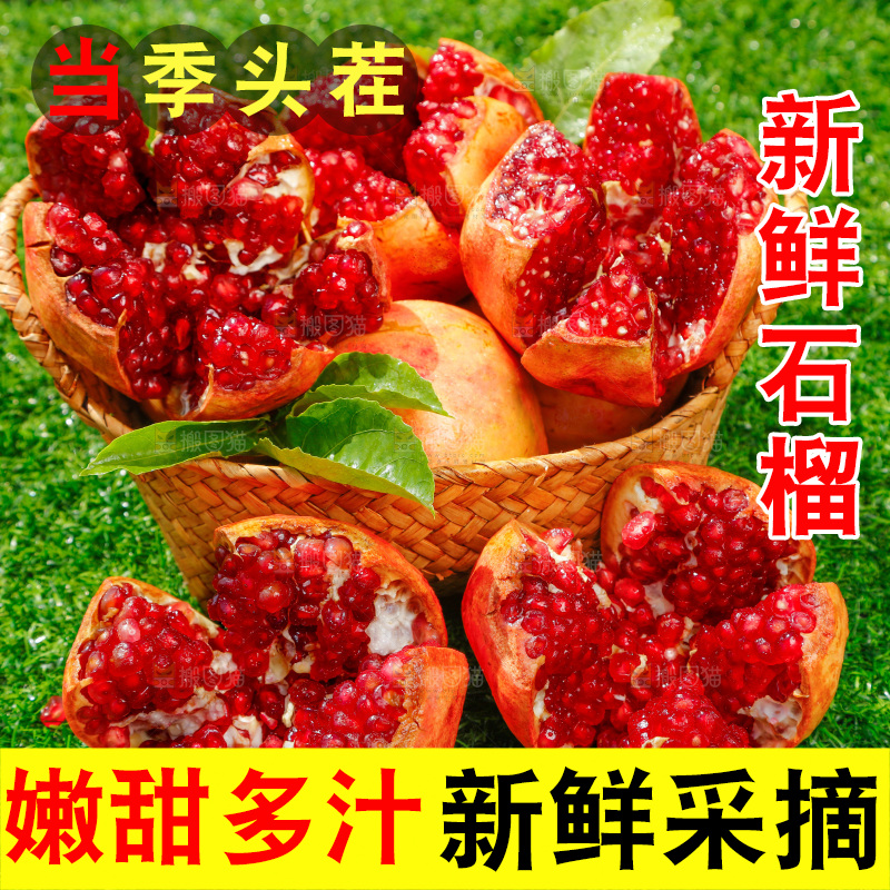 绿地上摆放着石榴