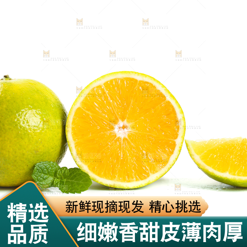 白底上的夏橙和禇橙果肉