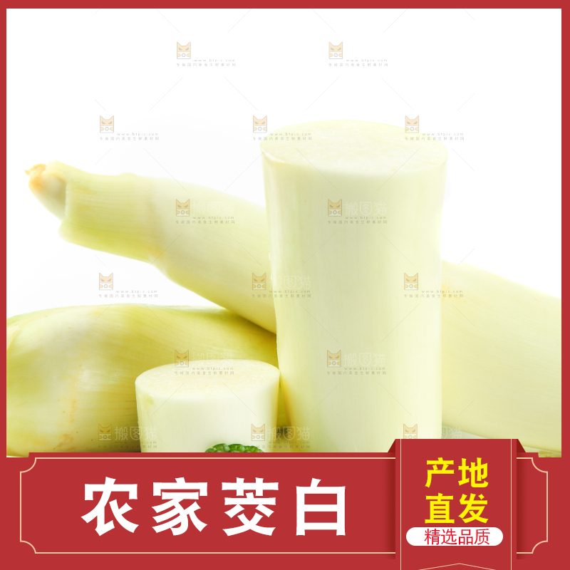 白底上放着一堆湖北新鲜茭白