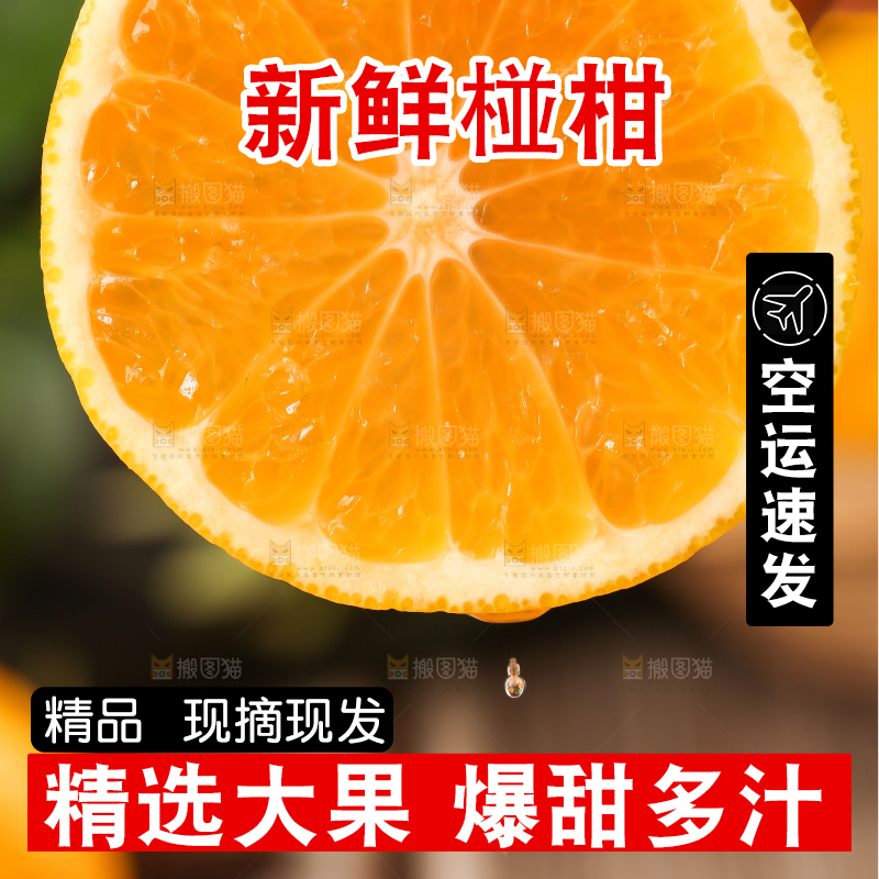 手里拿着芦柑