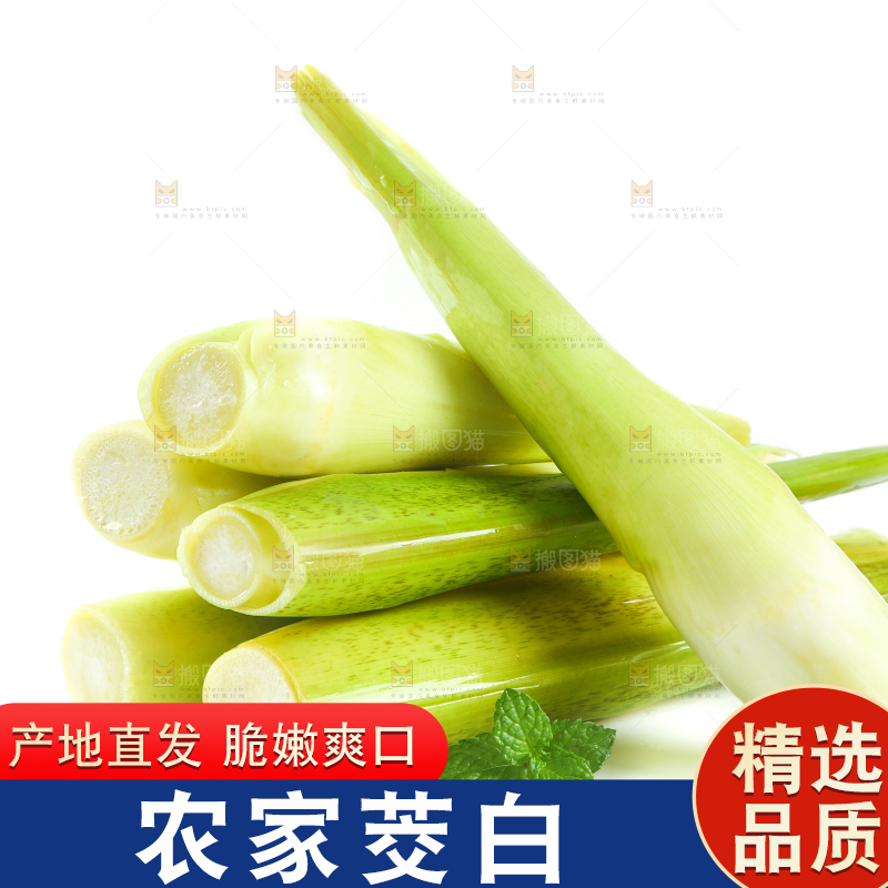 白底上一堆鲜嫩茭白