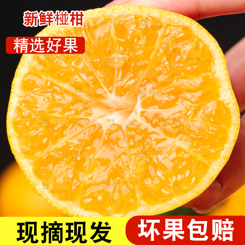 手里拿着芦柑