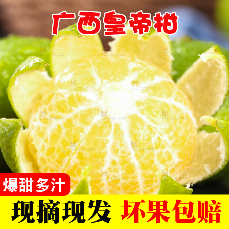 黑底上的广西武鸣皇帝柑