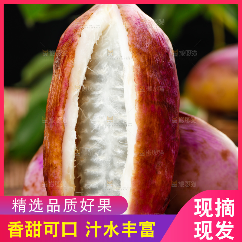 木底上摆放着八月瓜