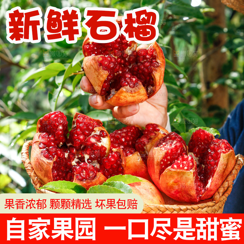 手里捧着一篮石榴