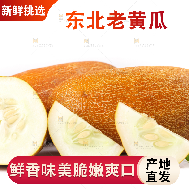 白底上摆放着老黄瓜