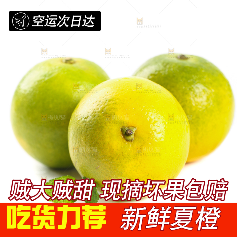 白底上放着夏橙