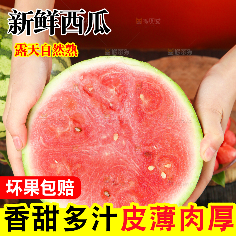 手里拿着冰糖西瓜
