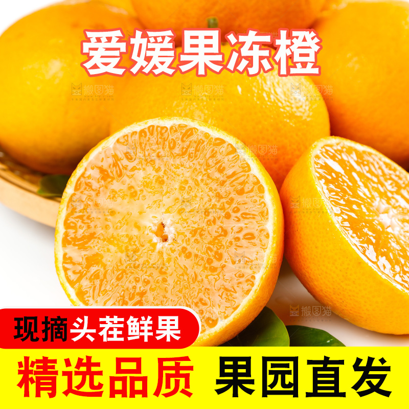 白底上篮子里的爱媛38号柑橘