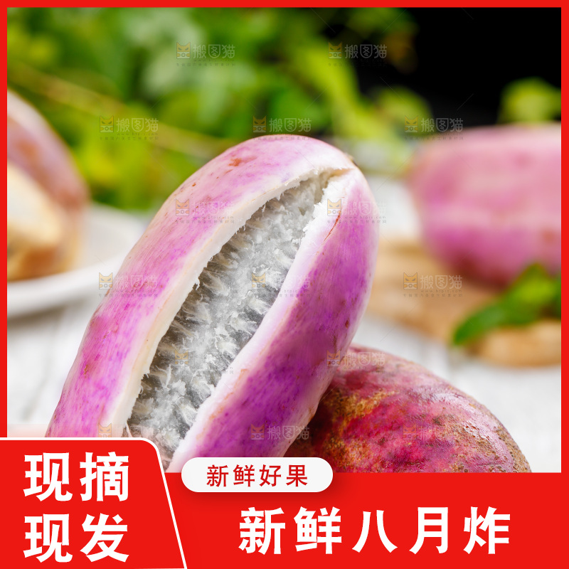 白底上摆放着八月瓜