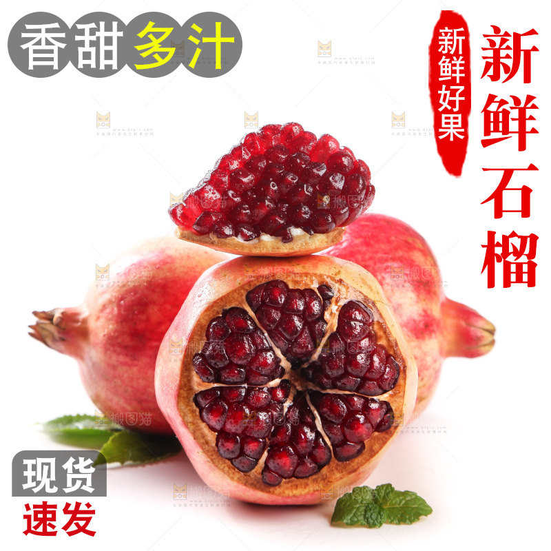 白底上的软籽石榴