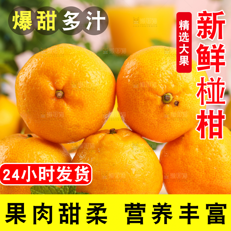 盘子里摆放着椪柑橘