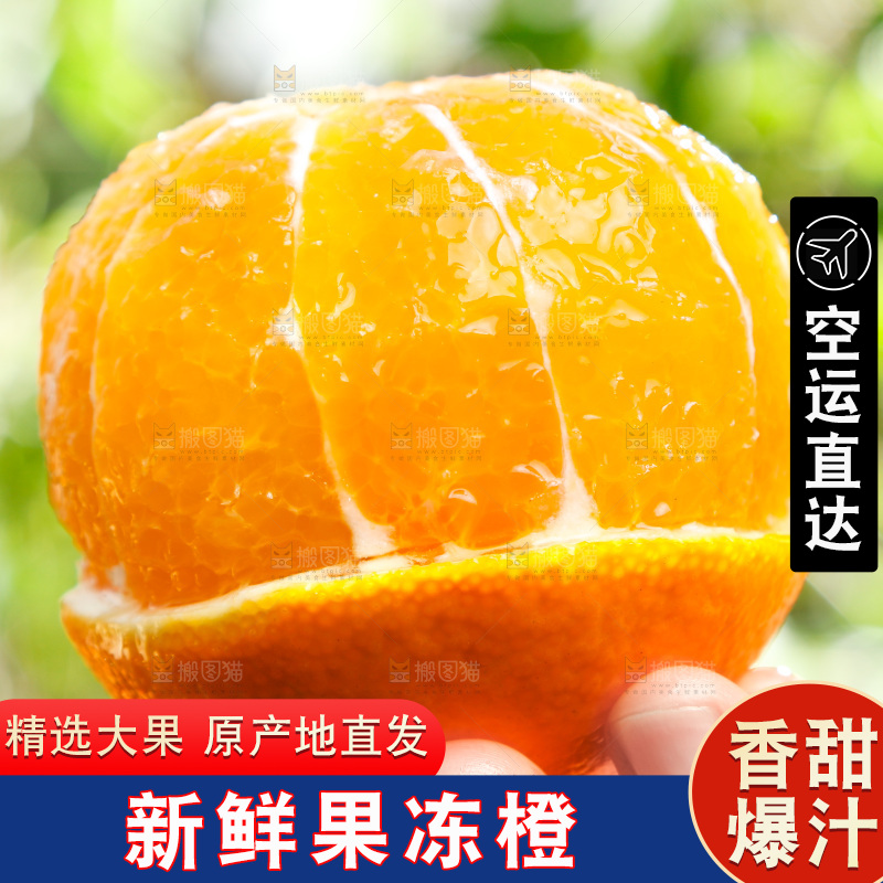 手上拿着爱媛果肉