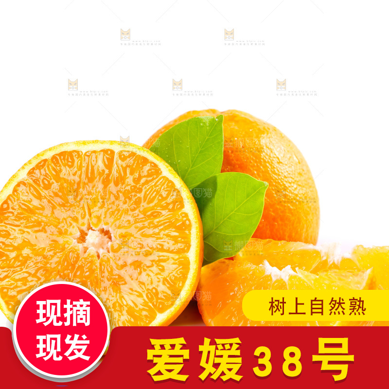 白底上的爱媛果冻橙和果冻橙果肉