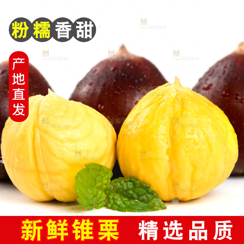 白底上的栗子和锥栗仁