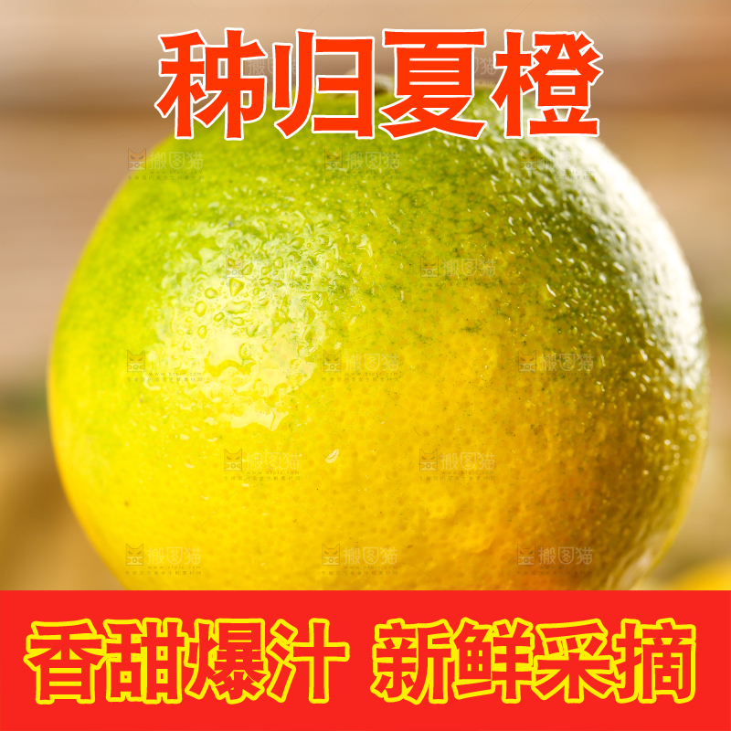 手上拿着秭归夏橙