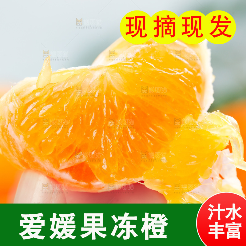 手上拿着爱媛果肉