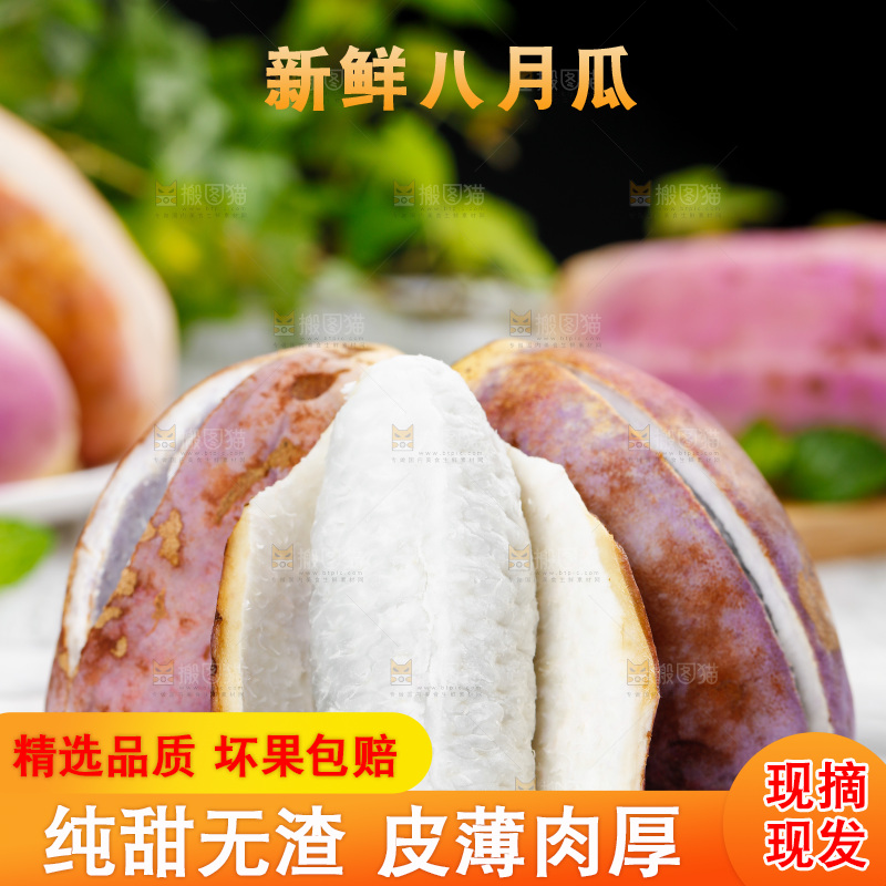 白底上摆放着八月瓜