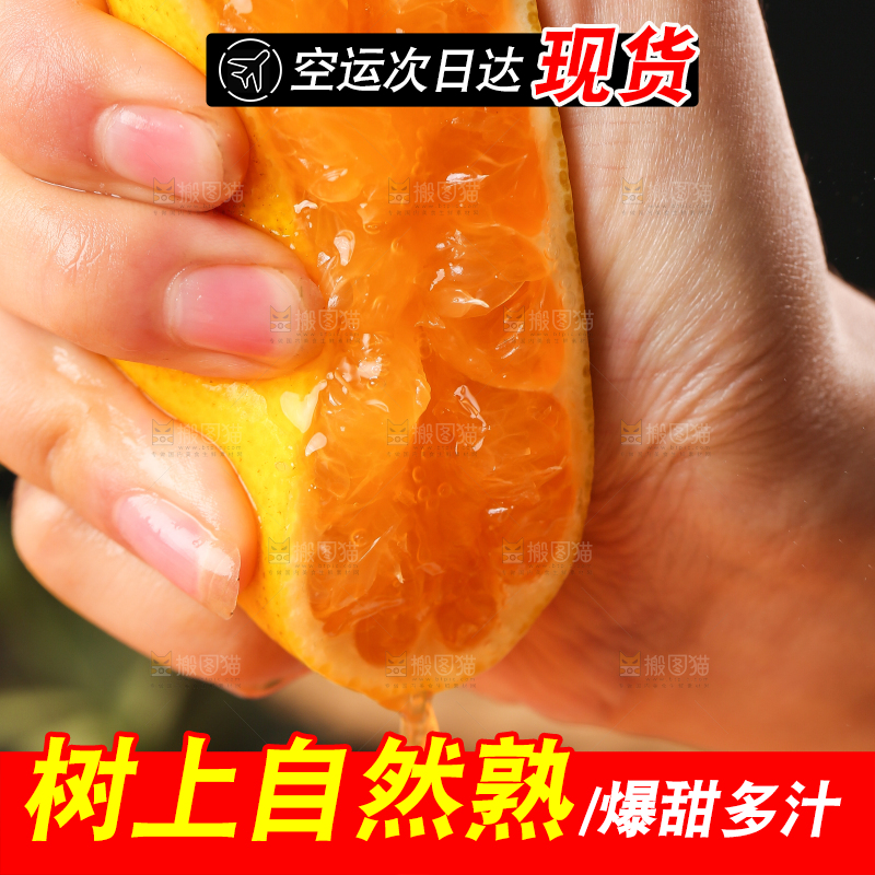 手里拿着芦柑